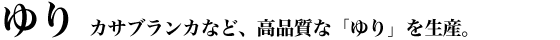 �J�T�u�����J�ȂǁA���i���ȁu���v�𐶎Y�B