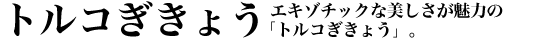 �G�L�]�`�b�N�Ȕ����������͂́u�g���R�����傤�v�B