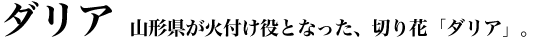 �d�ƂŐ▭�Ȕ�������n��グ��u�����v�B
