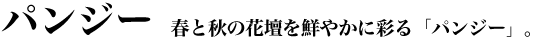 �t�ƏH�̉Ԓd��N�₩�ɍʂ�u�p���W�[�v