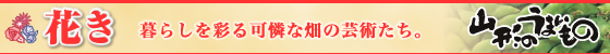 花き|暮らしを彩る可憐な畑の芸術たち。