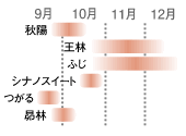 りんごの収穫時期