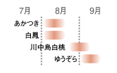ももの収穫時期