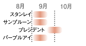プルーンの収穫時期