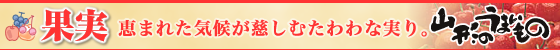 �ʕ��b�b�܂ꂽ�C�󂪎����ނ����Ȏ���