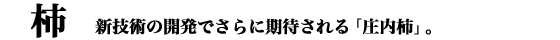 �`�b�V�Z�p�̊J���ł���Ɋ��҂����u�����`�v�B