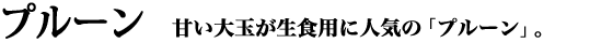 �v���[���b�Â���ʂ����H�p�ɐl�C�̃v���[��