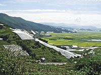 風土100%をボトリング。地ワインを超える地ワイン。