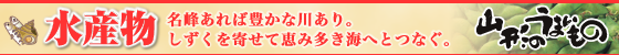 水産物|名峰あれば豊かな川あり。しずくを寄せて恵み多き海へとつなぐ。