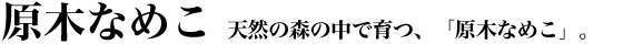 �V�R�̐X�̒��ň�A�u���؂Ȃ߂��v�B
