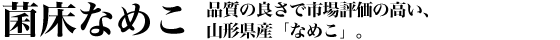 �i���̗ǂ��Ŏs��]���̍����A�R�`���Y�u�Ȃ߂��v�B