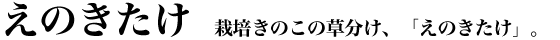�͔|���̂��̑������A�u���̂������v�B