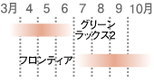 きゅうり収穫時期