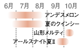 メロン収穫時期