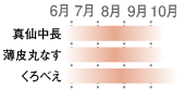 なす収穫時期