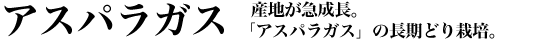 �A�X�p���K�X�b�Y�n���}�����B�u�A�X�p���K�X�v�̒����ǂ�͔|�B