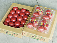真っ赤に色付いて、いかにも美味しそうな表情を見せる完熟トマト。生産者の愛情をたっぷり受けて育ったものだ。(桃太郎ファイト)