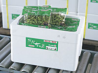以前は、産毛が茶色で見栄えが良くなかったために市場での評価は今ひとつだったと言う。しかし一部の食通が絶賛したことで、人気が急上昇した。今や日本一高い枝豆とも言われる。