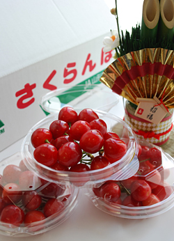 �y�����������