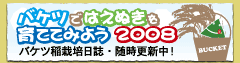 �o�P�c�ł͂��ʂ�����ĂĂ݂悤2008