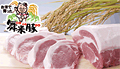 11���̃v���[���g