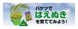 �o�P�c��͔|