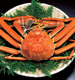 �Y���C�K�j