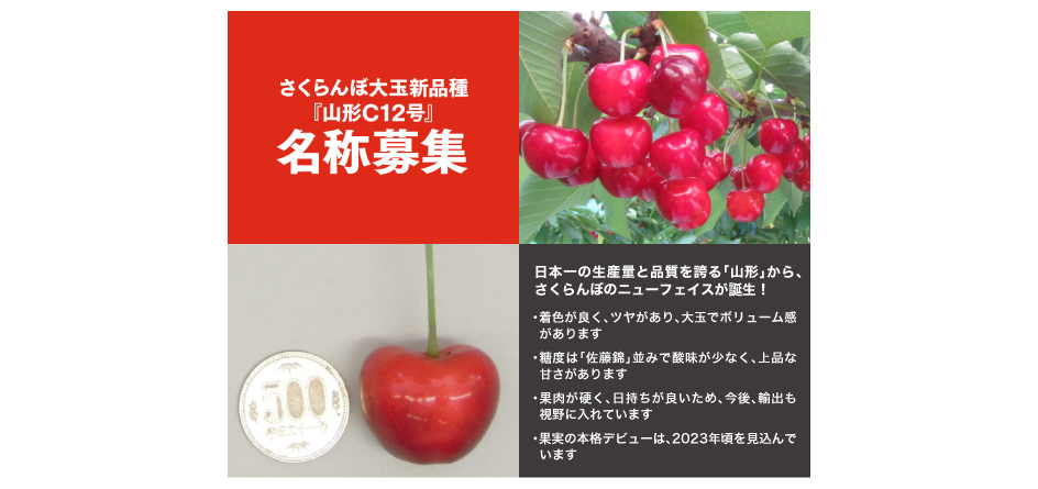 ڑʐViwR`C12x̕W