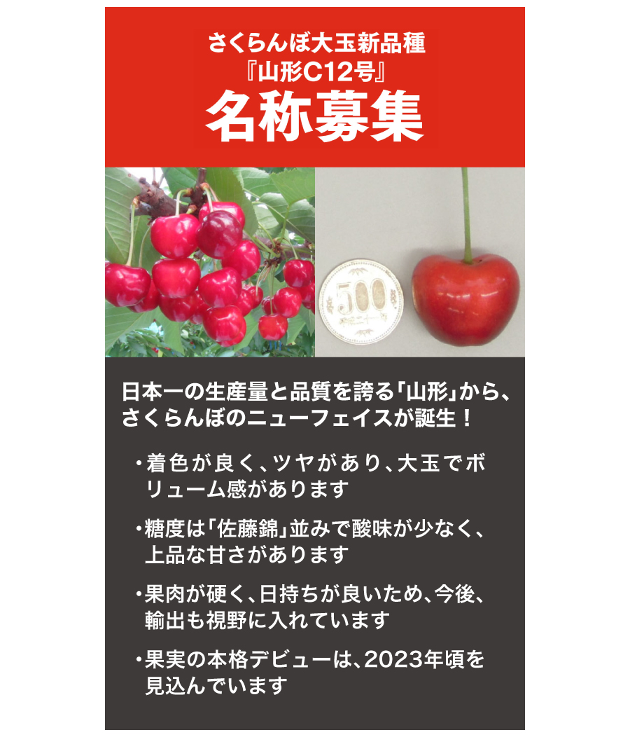 ڑʐViwR`C12x̕W