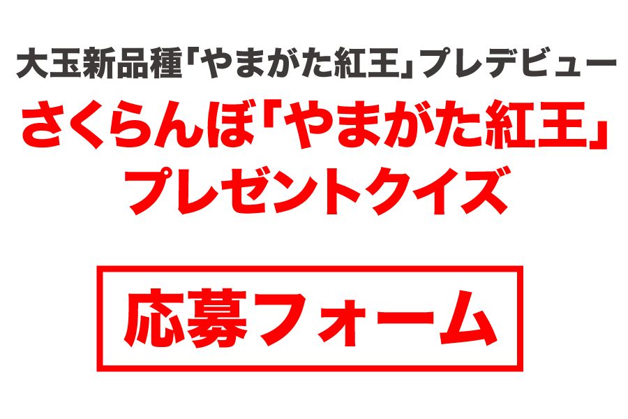 ځu܂gvv[gNCY