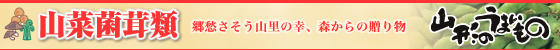 R؁EۑށbDR̍KAX̑蕨B