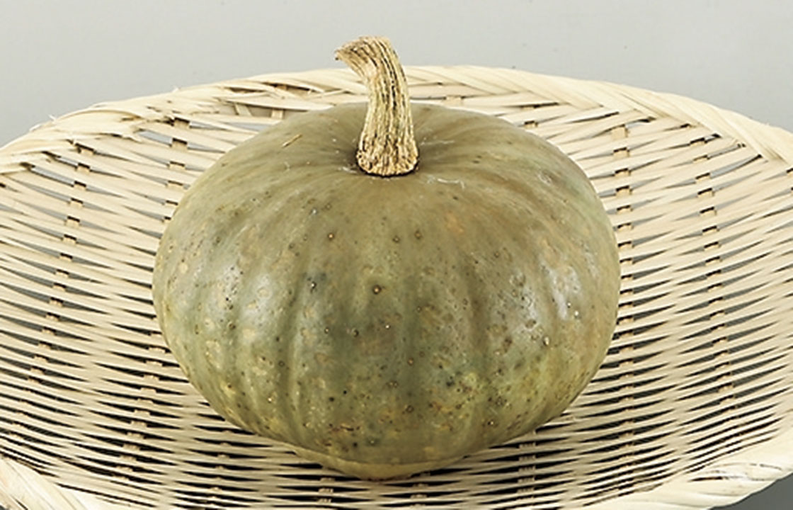蔵王かぼちゃ 伝統野菜 山形のうまいもの おいしい山形ホームページ