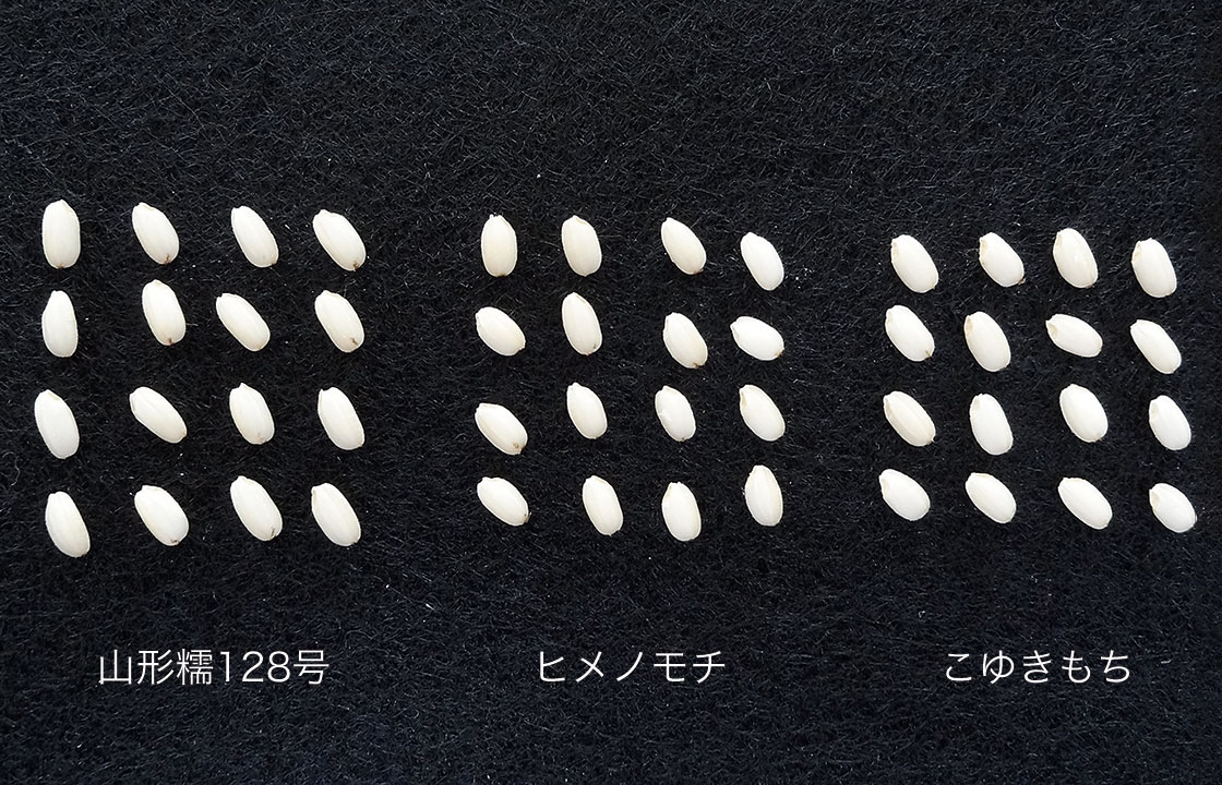 もち米｜穀物｜山形のうまいもの｜おいしい山形ホームページ