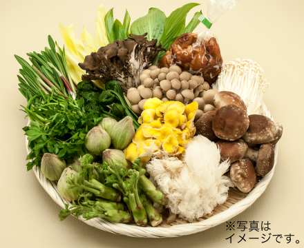 �����̃v���[���g