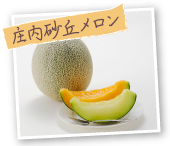 庄内砂丘メロン
