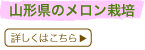 R`͔̃|