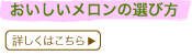 ̑Iѕ