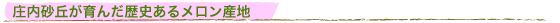 u񂾗j郁Yn