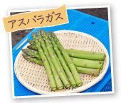 アスパラガス