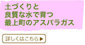 yÂƗǎȐňŏ㒬̃AXpKX