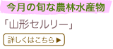 �����̏{�Ȕ_�ѐ��Y��