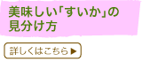 ���������u�������v�̌�������