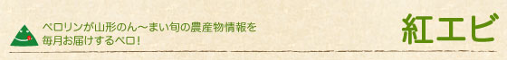 紅エビ
