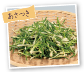 あさつき