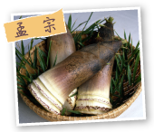 孟宗