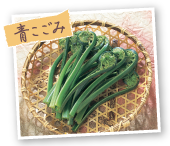 青こごみ
