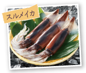 スルメイカ