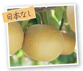 日本なし