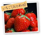 いちご(おとめ心)