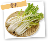 雪菜